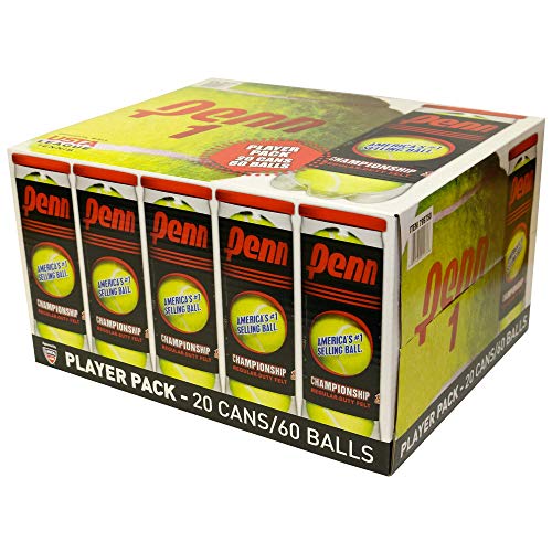 Penn Championship (20 Cans, 60 Balls Total Regular Duty Felt)