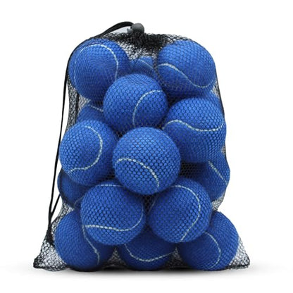 SHYUJAJIE Tennis Balls, 20 Pack Training Tennis Balls,High Elasticity Practice Tennis for Beginner, Exercise Playing Balls for Pet Dog - color: Dark Blue
