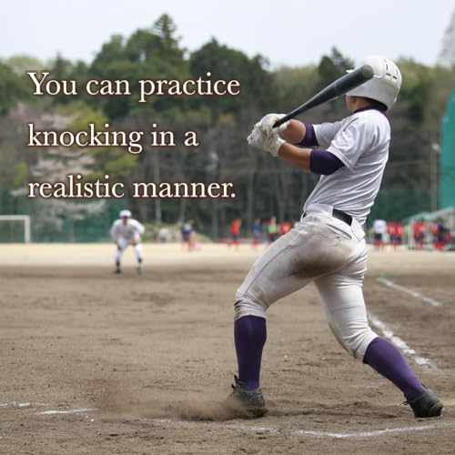 Spark Fungo Baseball & Softball Bat Training Wood Bat for Coaches [Made in Japan] - style: Fungo -Short- 30"