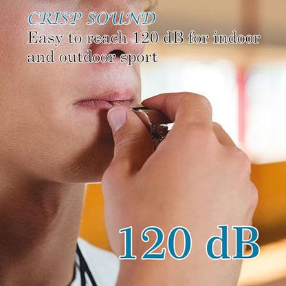 Custom Whistle with Lanyard Stainless Steel Sports Whistles Loud Adult Whistle Gift for Coach Referee Teacher Sports Lover Silver Gold Rose Gold Black Custom Whistle for Adult