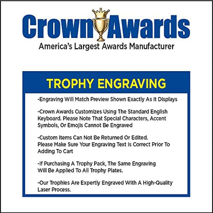 Table Tennis Trophies, 6" Gold Table Tennis Paddles Trophy with Custom Engraving, Great Ping Pong Awards Prime