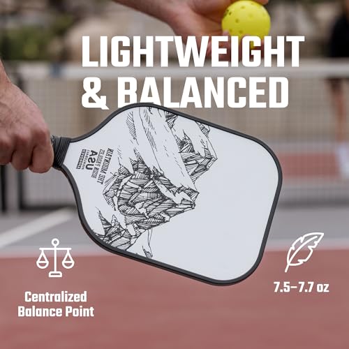 Bison Paddles: Carbon Graphite Pickleball Paddles - Lightweight Pickleball Rackets | Honeycomb Composite Core Improves Pickle Ball Placement and Increases Power | Durable Unibody Construction