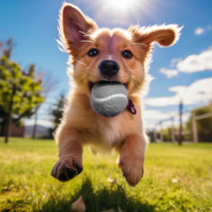 12/18 Pack Tennis Balls for Training, Pet Dog Playing, and Practice with Mesh Bag for Transport and Beginner Training - color: Grey-12Pack