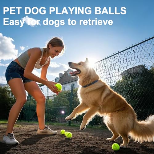 Tennis Balls, 12 Pack Advanced Tennis Ball Practice Balls, Tennis Balls for Dog, Come with Mesh Bag for Transport, Good for Beginner Training Tennis Ball