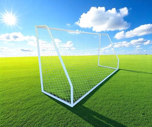PASS Premier� 12 X 6 Ft. Youth Size Steel Soccer Goal. 2"" Diameter Strongest Steel Frame w/Durable 4mm Net, Ground Stakes, Elastic Clasp & Re-Usable Ties. 12x6 Ft. Practice Aid.