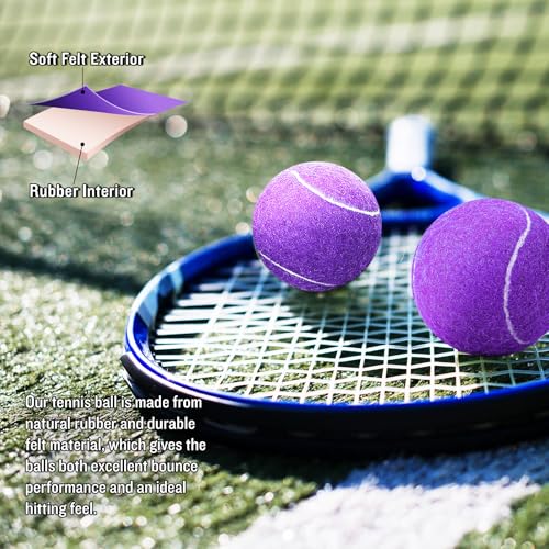 24 Pack Tennis Balls, Training Tennis Balls, Pet Dog Playing Balls, Practice Tennis Balls with Mesh Bag for Transport and Beginner Training