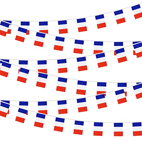 France French Small Mini String Banner Flags Miniature France Banners For Grand Opening,Grand Opening Sports Celebration Decorations (50 Feet 38 Flags) - color: France
