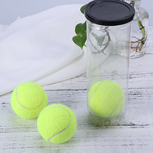 3pcs Tennis Balls Can Practice Tennis Balls Championship Regular Duty Tennis Ball Pet Dogs (Yellow)