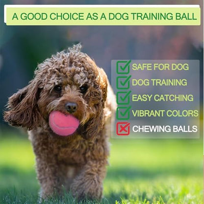 INSUM Bulk Tennis Balls for Beginner – 12 Pack High Elasticity Practice Tennis Balls with Mesh Bag, Suit for Pet Dog Training, Fetching - color: Mixed-N