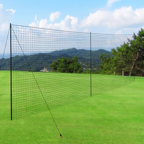 Backstop Net System for Backyard – Heavy Duty Sports Barrier Net with Steel Posts, Movable/Socketed Ball Stop Net for Soccer, Baseball, Training - size: 30FT Wide, style: Socketed-1 Inch Net