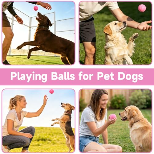 Tennis Balls, 4 Pack Training Tennis Balls – Practice Balls for Beginners & Playing Balls for Dogs - color: Pink