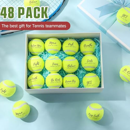 Soulchen 48 Pack Pressureless Tennis Balls Inspirational Training Tennis Balls Bulk Coach Beginner Practice Supplies Pet Dog Toys Indoor Outdoor