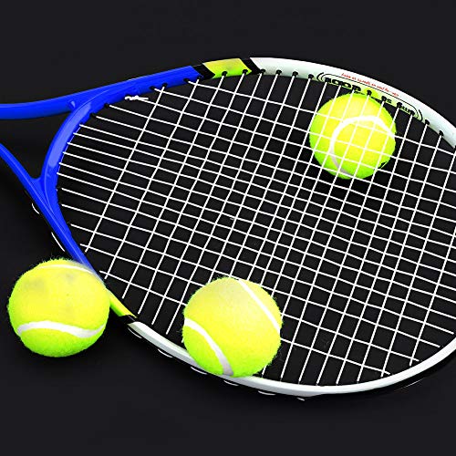 Adult Tennis Rackets, Mid Weight Tennis Racquet for Men and Women College Students Beginner Tennis Racket - color: Blue