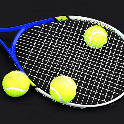 Adult Tennis Rackets, Mid Weight Tennis Racquet for Men and Women College Students Beginner Tennis Racket - color: Blue