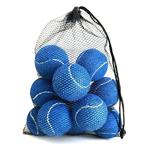 Tennis Balls, 15 Pack Practice Tennis Ball for Beginners, Training Playing Tennis Balls for Dogs, Come with Mesh Carry Bag - color: Navy