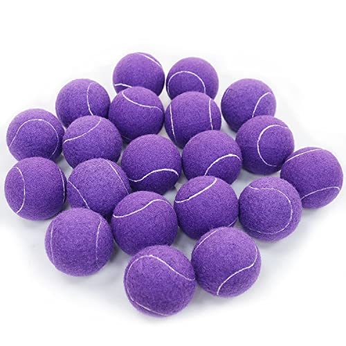 URBEST Advanced Tennis Ball 20 Packs, Training Tennis Balls Practice Balls for Novice Player, Pet Dog Playing Balls with Mesh Carry Bag for Beginner Training Ball - color: Purple