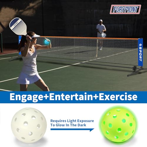 10 FT Mini Portable Pickleball Net Equipment Set - Tennis Net for Driveway Backyard, 2 Pickleball Paddles, 8 Pickleballs and Potable Carry Bag,Pickleball Net for Beginner