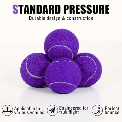 24 Pack Tennis Balls, Training Tennis Balls, Pet Dog Playing Balls, Practice Tennis Balls with Mesh Bag for Transport and Beginner Training