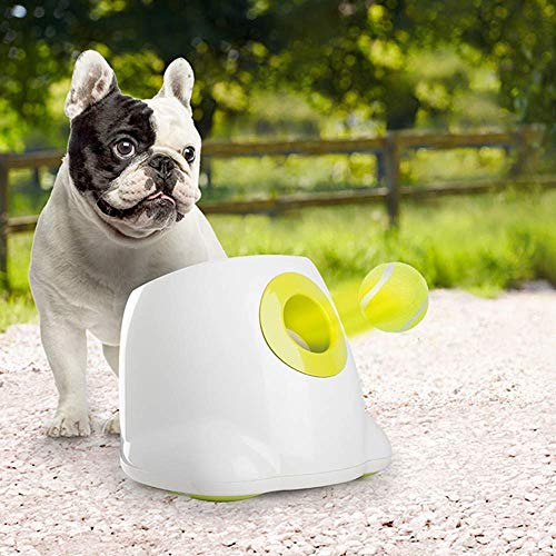 ALL FOR PAWS Dog Tennis Balls for Dogs, Great for Mini Ball Launcher, 6 Pack 2 Inch Tennis Balls - size: 2 Inch