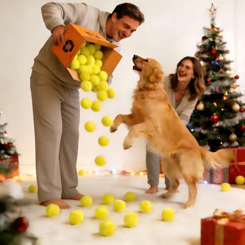 INSUM Bulk Tennis Balls for Beginner – 20/30/60/120 Pack High Elasticity Practice Tennis Balls with Mesh Bags, Portable for Pet Dog Outdoor Playing, Training, Fetching