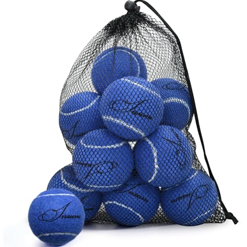 INSUM Bulk Tennis Balls for Beginner – 12 Pack High Elasticity Practice Tennis Balls with Mesh Bag, Suit for Pet Dog Training, Fetching - color: Blue