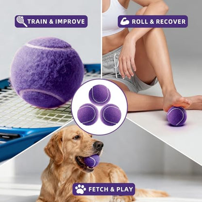 PoyPet 16-Pack Tennis Balls Bulk for Practice,Training and Beginners | Ideal for Dog Fetch,Chew and Play - color: Purple