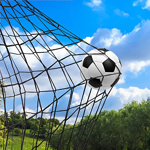 Soccer Backstop Net, High Impact Barrier Net, Nylon Practice Sports Netting 10x20ft/10x30ft/10x40ft (Installation Rope Included) - size: 10x10ft