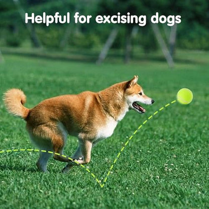 MEKAPLE 6 Pack Mini Tennis Balls for Pet Playing Fecth, 2 inch Dogs Training Tennis Balls for Small Size Dogs, Interactive Dog Playing Balls Fits 2 inch Automatic Dog Ball Launcher