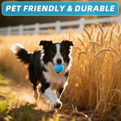 PoyPet 16-Pack Tennis Balls Bulk for Practice,Training and Beginners | Ideal for Dog Fetch,Chew and Play - color: Blue