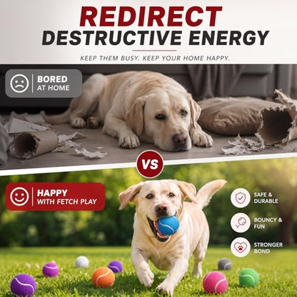 Yunsailing 30 Pcs Dog Tennis Balls 2.4 Inch Dogs Toy Balls Bright Colors Pet Training Toy for Small Medium Large Puppy Indoor Outdoor Interactive Training Exercise Games