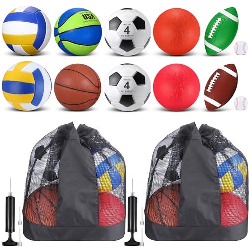 Deekin 12 Pcs Assorted Sport Ball Set for Kids Official Size Basketball Football Volleyball Soccer Baseball Playground Ball with Bag and Pump for Kid Youth Gift - color: Vibrant