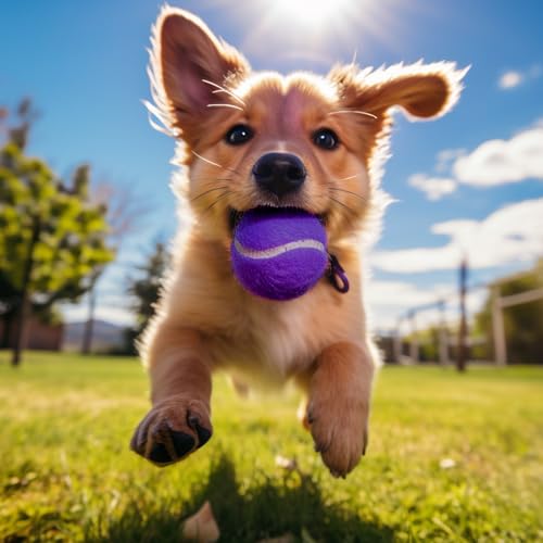 30/40 Pack Training Tennis Balls, Pet Dog Playing Balls, Practice Tennis Balls with Mesh Bag for Transport and Beginner Training - color: Purple-30Pack