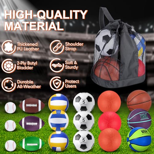 Leyndo 18 Pcs Sport Balls Bulk Set Basketball Football Volleyball Soccer Playground Baseball with Sport Equipment Bag Pump for Adults Gifts Outdoor Indoor