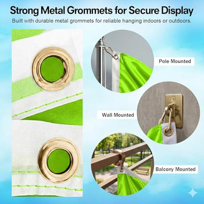 DMSE Solid Magenta Flag, 2x3 Flag, UV Resistant, Fade Resistant Material with Metal Grommets (2ft x 3ft), (Polyester), (Neon Green) - color: Neon Green, size: Polyester (2 x 3 ft)