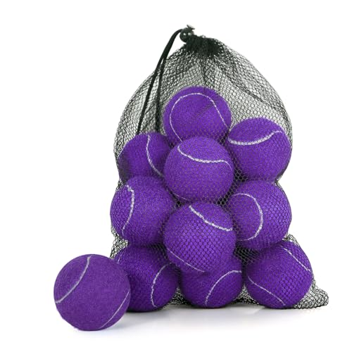24 Pack Tennis Balls, Training Tennis Balls, Pet Dog Playing Balls, Practice Tennis Balls with Mesh Bag for Transport and Beginner Training