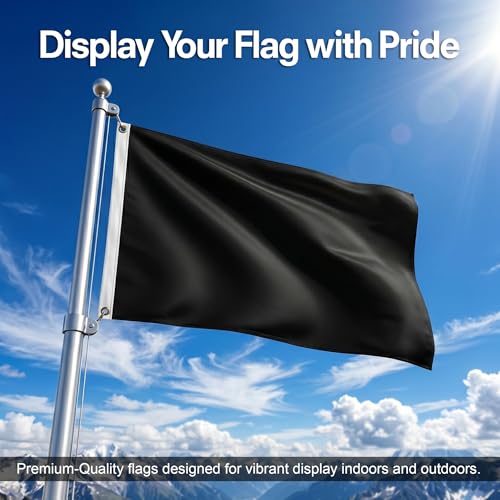 DMSE Solid Black Flag, 3x5 Flag, UV Resistant, Fade Resistant Material with Metal Grommets (3ft x 5ft), (Nylon), (Black) - color: Black, size: Nylon (3 x 5 ft)