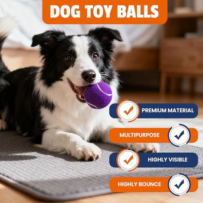 FURWEY Tennis Balls for Dogs 80 Pack,2.5 inches,Durable and Non-Toxic Dog Toys Balls with Mesh Bag,Colorful Fetch Toys Balls for pet Dog (Non Squeaky)