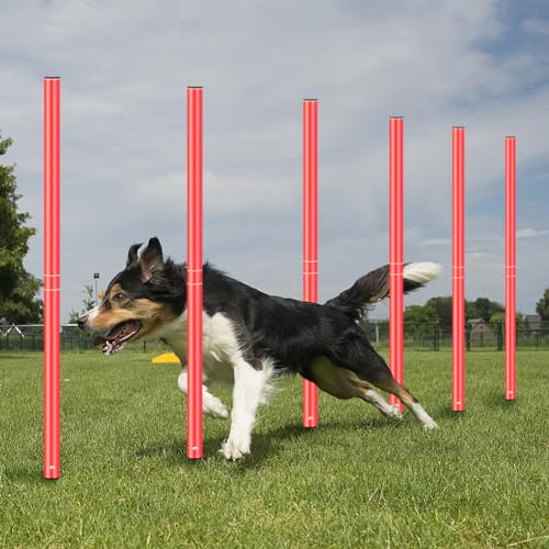 Agility Training Poles Equipment Soccer Training Equipment Includes 6 Agility Poles,Agility Ladder, 10 Soccer Cones,Jump Rope for Speed Training, Soccer Training, Basketball Athletes & Kids - color: Orange