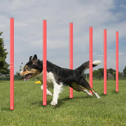 Agility Training Poles Equipment Soccer Training Equipment Includes 6 Agility Poles,Agility Ladder, 10 Soccer Cones,Jump Rope for Speed Training, Soccer Training, Basketball Athletes & Kids - color: Orange