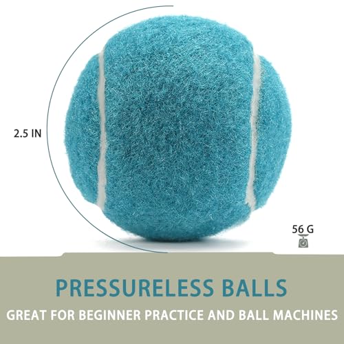 INSUM Bulk Tennis Balls for Beginner – 12 Pack High Elasticity Practice Tennis Balls with Mesh Bag, Suit for Pet Dog Training, Fetching - color: Light Blue-N