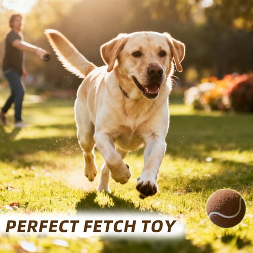 PoyPet 16-Pack Tennis Balls Bulk for Practice,Training and Beginners | Ideal for Dog Fetch,Chew and Play - color: Brown