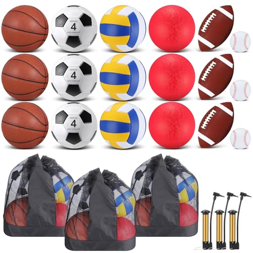 Leyndo 18 Pcs Sports Ball Set for Kids, Official Size Basketball Football Soccer Ball Playground Volleyball Baseball Outdoor Sport Equipment Bag and Pump Back to School Gift - color: Maroon