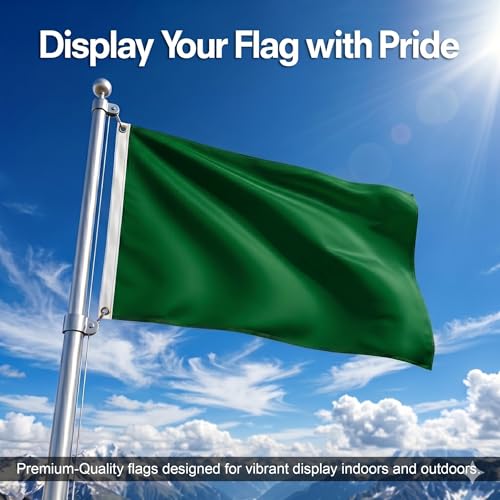 DMSE Solid Green Flag, 2x3 Flag, UV Resistant, Fade Resistant Material with Metal Grommets (2ft x 3ft), (Polyester), (Green) - color: Green, size: Polyester (2 x 3 ft)