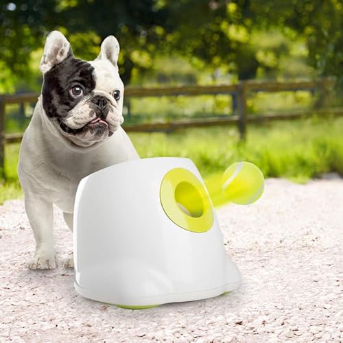 ALL FOR PAWS Dog Tennis Balls for Dogs, Great for Mini Ball Launcher, 6 Pack 2 Inch Tennis Balls - size: 2 Inch