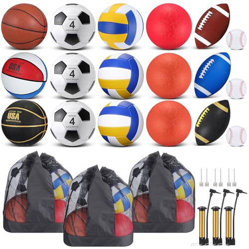 Leyndo 18 Pcs Sports Ball Set for Kids, Official Size Basketball Football Soccer Ball Playground Volleyball Baseball Outdoor Sport Equipment Bag and Pump Back to School Gift - color: Black, Gold, Maroon