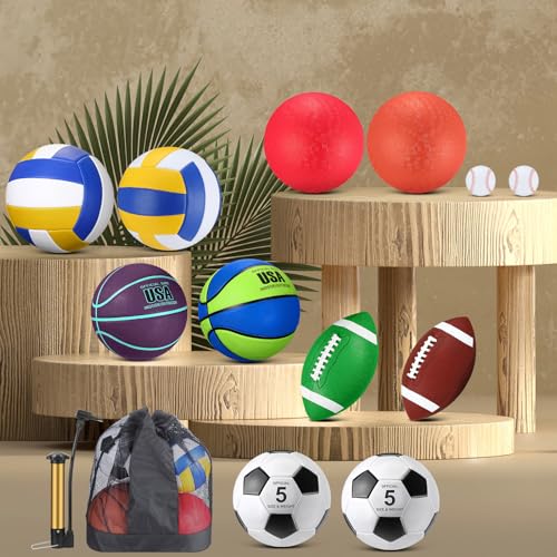 Leyndo 18 Pcs Sport Balls Bulk Set Basketball Football Volleyball Soccer Playground Baseball with Sport Equipment Bag Pump for Adults Gifts Outdoor Indoor