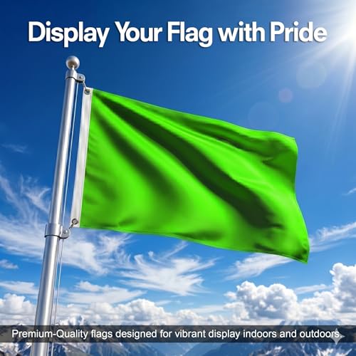 DMSE Solid Magenta Flag, 2x3 Flag, UV Resistant, Fade Resistant Material with Metal Grommets (2ft x 3ft), (Polyester), (Neon Green) - color: Neon Green, size: Polyester (2 x 3 ft)