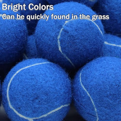 SHYUJAJIE Tennis Balls, 20 Pack Training Tennis Balls,High Elasticity Practice Tennis for Beginner, Exercise Playing Balls for Pet Dog - color: Dark Blue