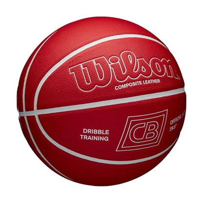 WILSON x Chris Brickley Training Basketballs - Size 6 and Size 7 - size: Size 7 - 29.5", style: Dribble Training Ball