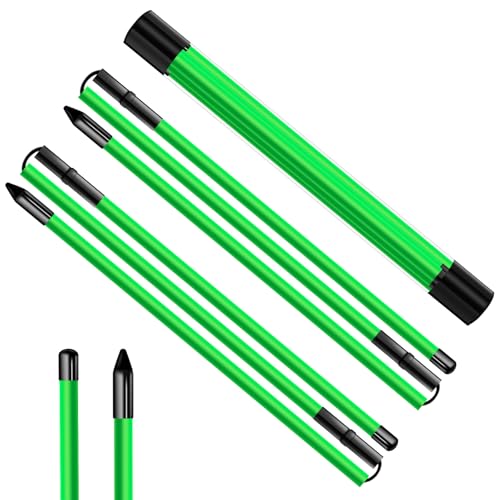 ATTRACTIVE 48-Inch Golf Alignment Sticks 2 Pack Collapsible Golf Practice Rods for Aiming, Putting,Golf Training Sticks with Clear Tube Case